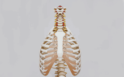 Torasik Outlet Sendromu (TOS) 